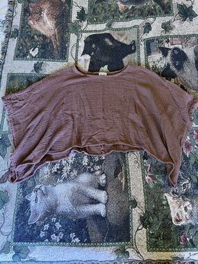 Oh My Gauze! Mauve Cropped Dolman Top